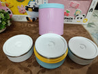 SnackNest Mini Tiffin